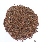 KARABUĞDAY (ÇİĞ) TOHUMLUK VEYA ÖĞÜTMELİK HAZIR